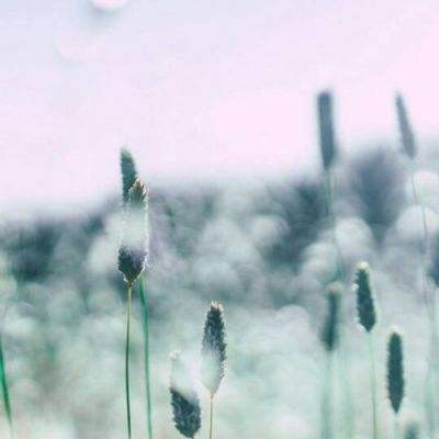 幻想空战手游官方下载