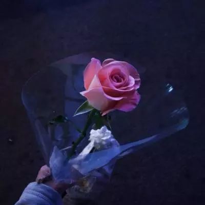 超级救火队员游戏下载